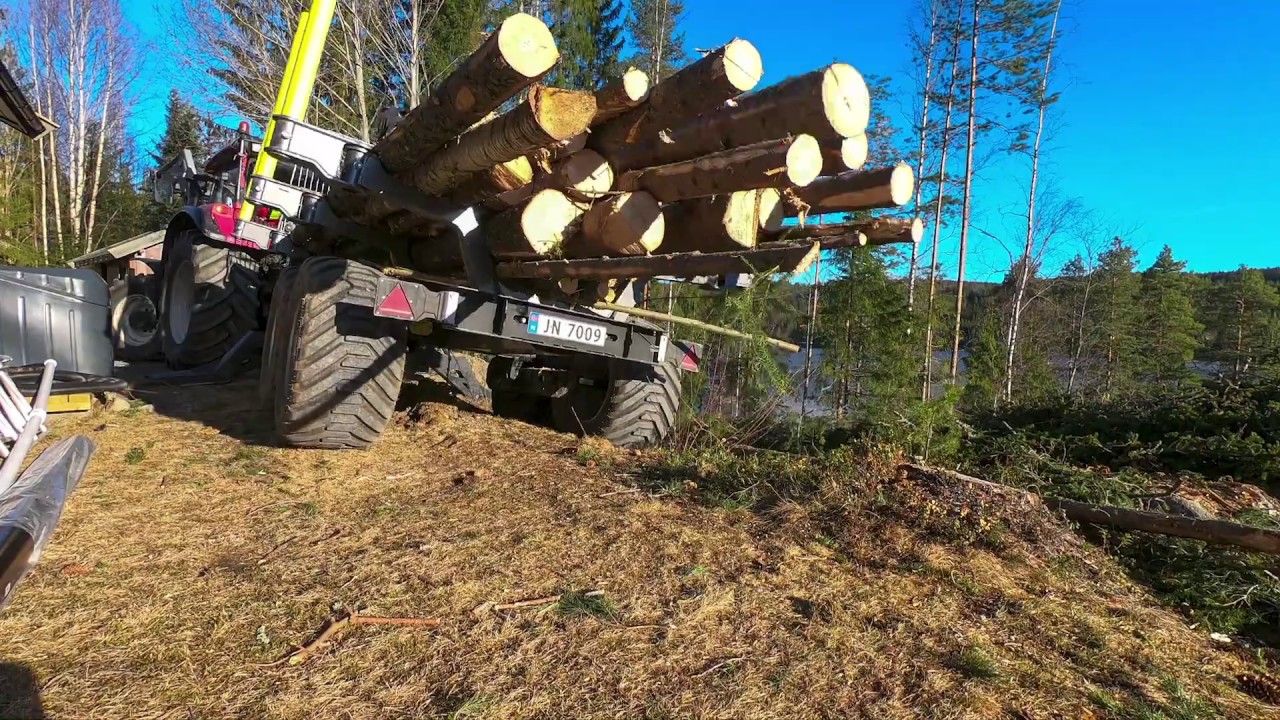 Palms 13u / 7.94 - Trefelling, Langtangen - Samsj&oslash;en
