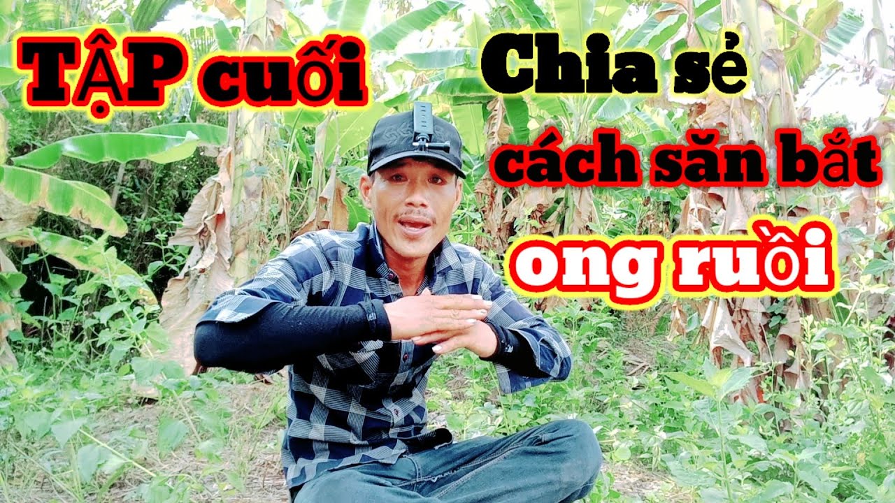 #Tập cuối/Chia sẻ cách săn bắt ong ruồi và những lời tâm sự của đầy