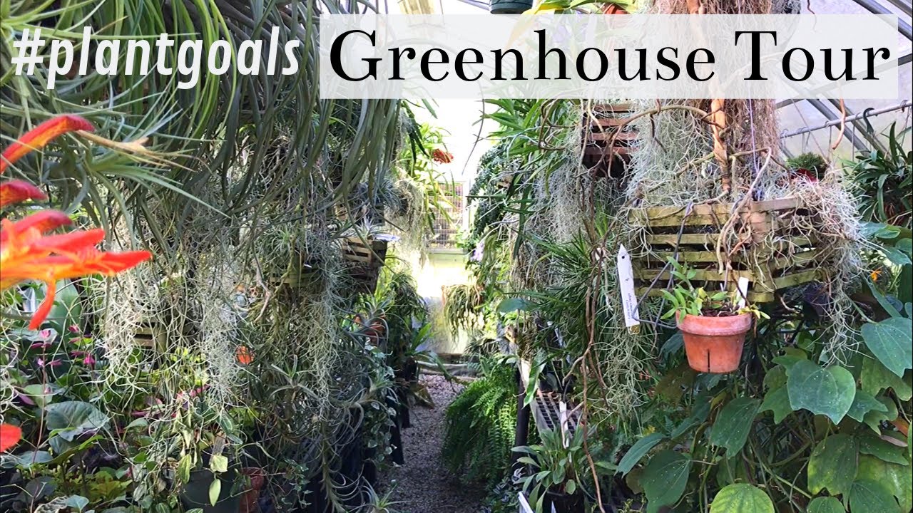 #PlantGoals Greenhouse Tour