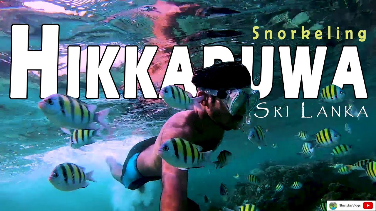 Amazing Underwater Paradise in Hikkaduwa | Sri Lanka | Snorkeling 🇱🇰