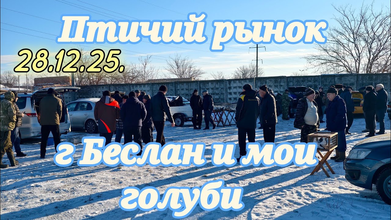 Голуби Птичий рынок г.Беслан