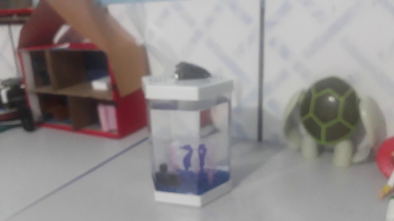 Peixe exieP