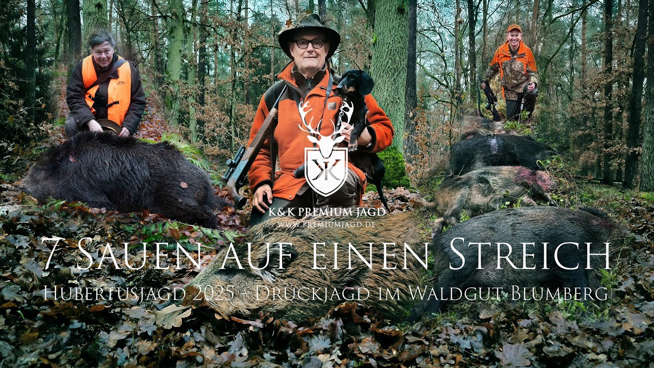Hubertusjagd 2025 - Dr&uuml;ckjagd im Waldgut Blumberg | 7 Sauen auf einen Streich