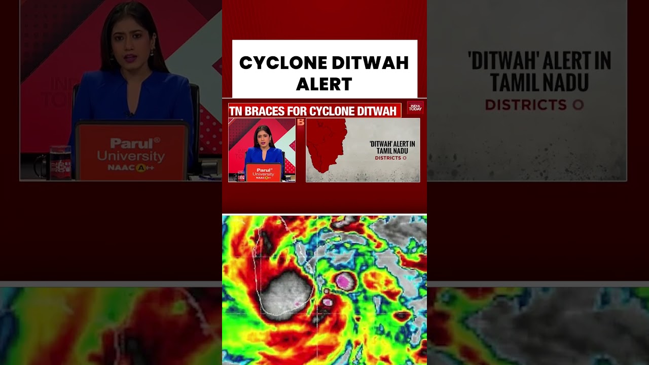 Cyclone Ditwa Turns Severe: Tamil Nadu, Andhra On High Alert | Heavy Rains Likely | India Today