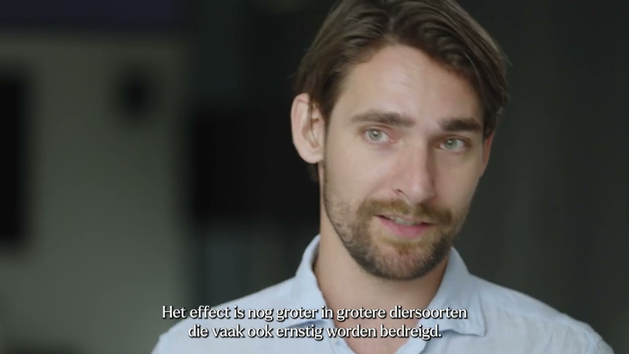 Shortdoc: Wetenschappelijk onderzoek toont  positieve impact  FSC op biodiversiteit