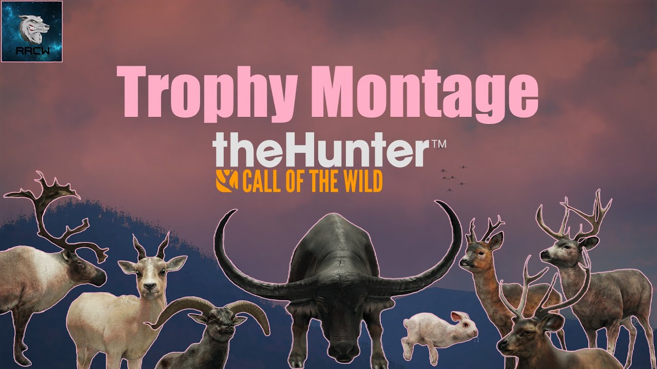 Trophy Montage - theHunter Call of the Wild