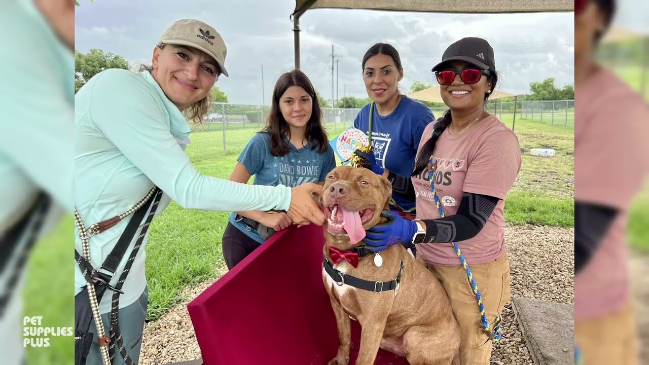 Shelter Shoutout: Williamson County Regional Animal Shelter
