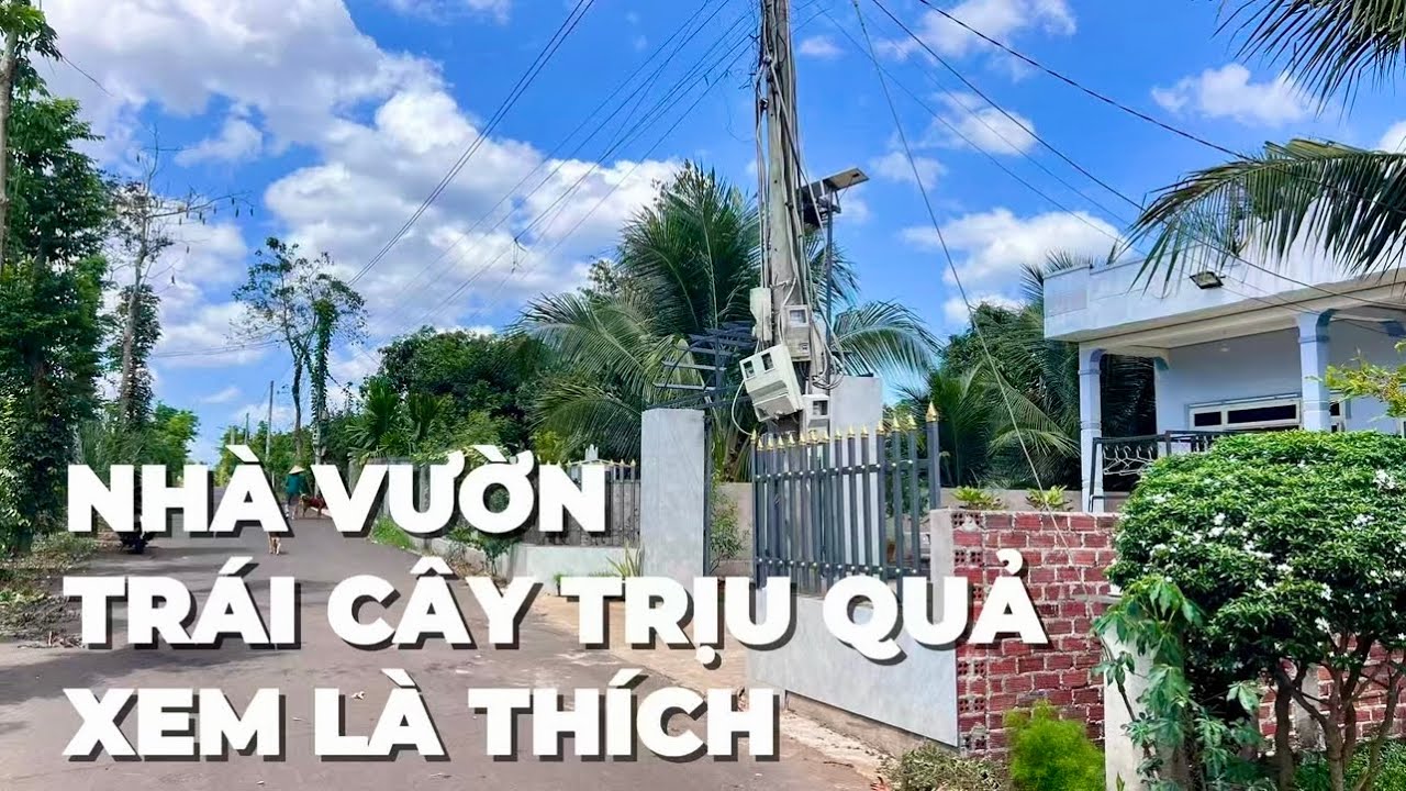 Chuyển về chung sống với mẹ già chị Thảo bán nhà vườn trái cây tuyệt đẹp tại BR-VT