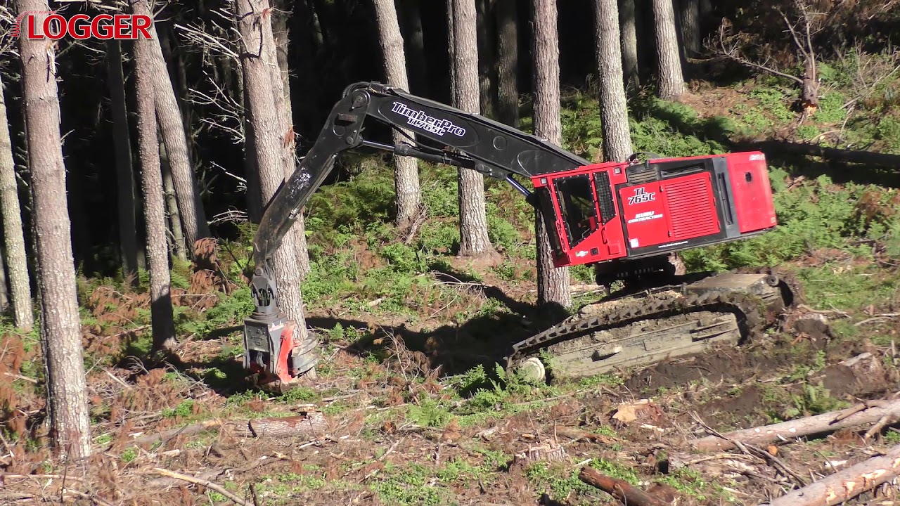 NZ Logger Final Iron Test June 2018