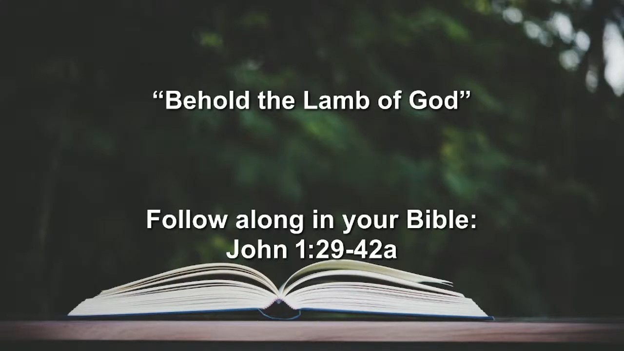 Behold the Lamb of God - A Sermon by Vicar Jonathan Theander