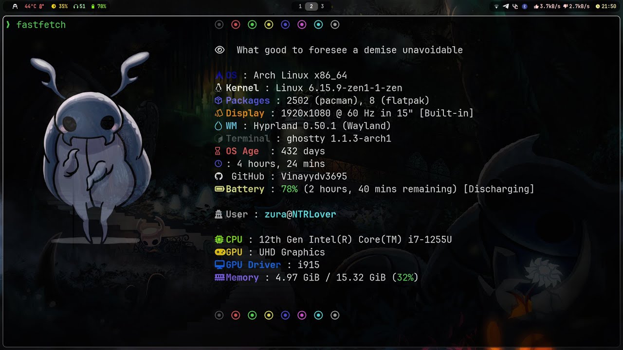 Ricing Arch Hyprland  because Silksong took so long to release