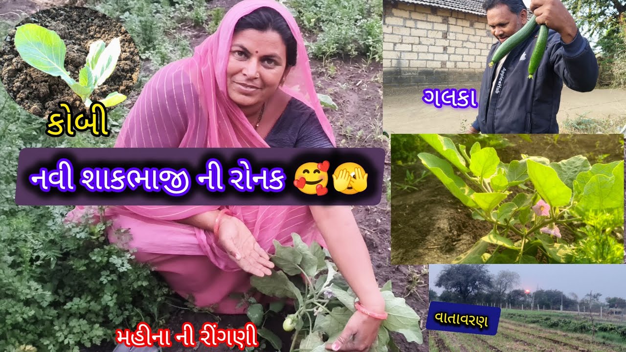 નવી શાકભાજી ની રોનક 🥰🫣🥰🫛🥒🍆🥬