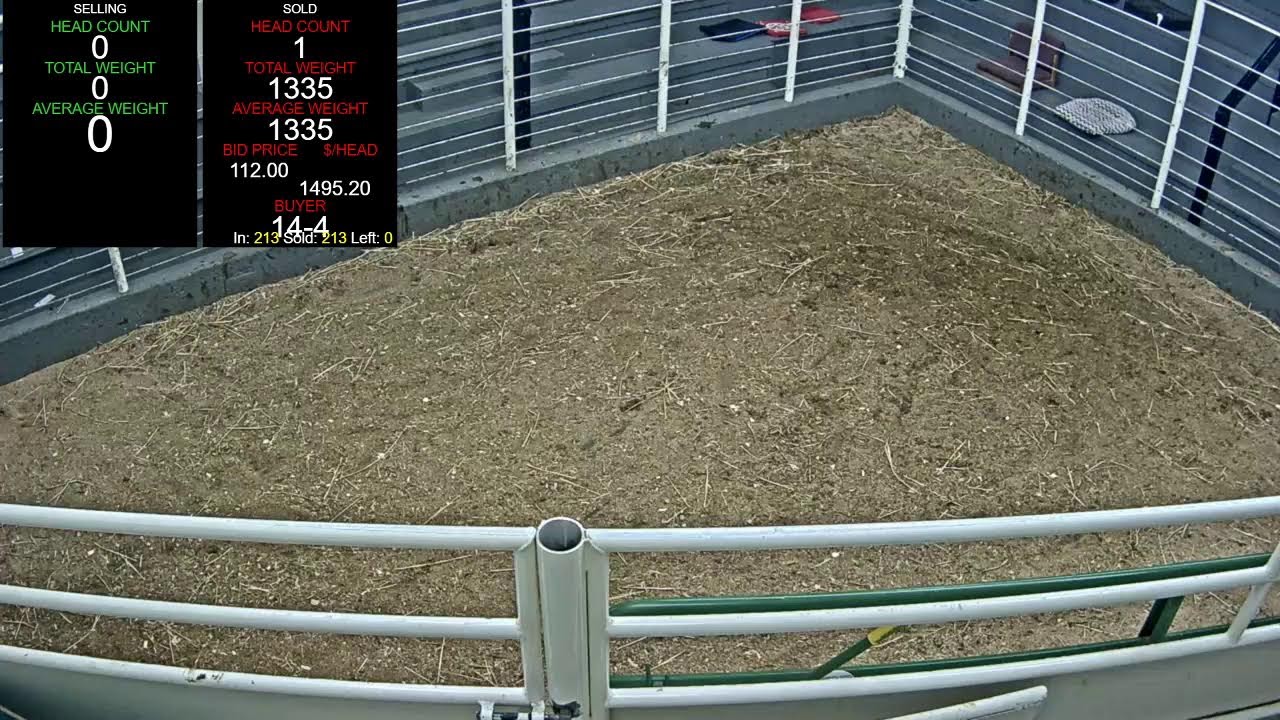 Everson Auction Market Live Stream 2/23/2026
