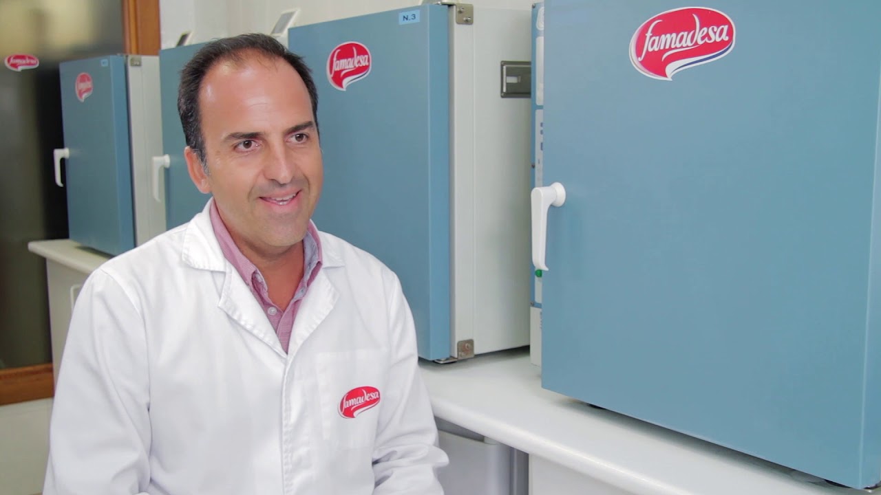 CEA+Empresas: Famadesa