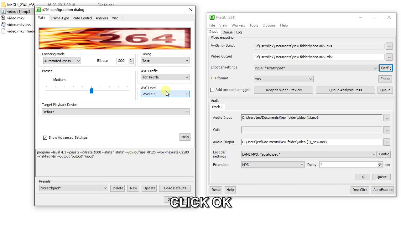 HOW TO ENCODE VIDEO, MOVIE WITH USING MEGUI AND FILE INDEXER METHOD