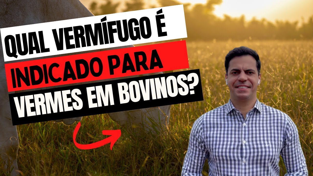 QUAL VERM&Iacute;FUGO &Eacute; INDICADO PARA VERMES EM BOVINOS ?
