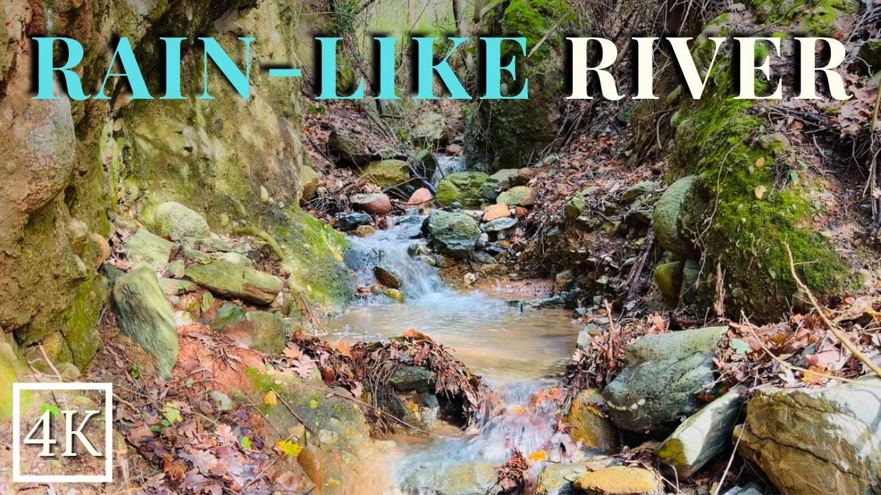 2 HOURS Relaxing RIVER SOUNDS | Flowing Water Ambience for Sleep, Study & Stress Relief (No Music)