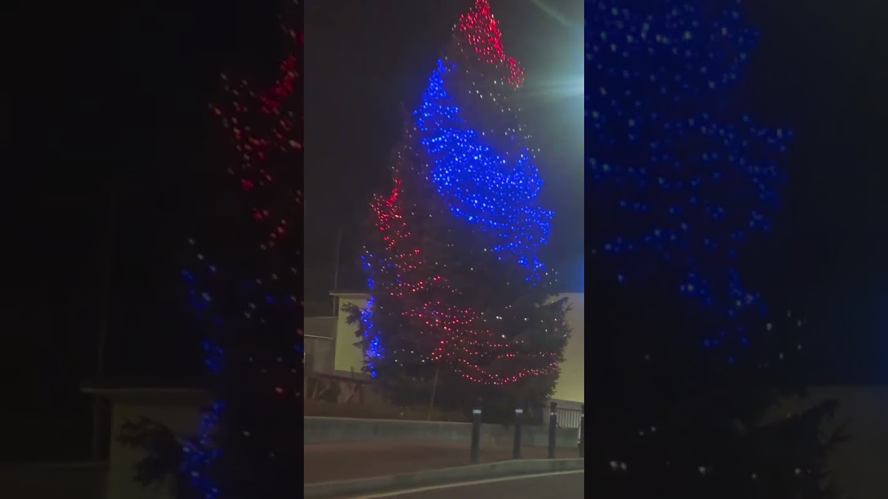 ALBERO DI NATALE 