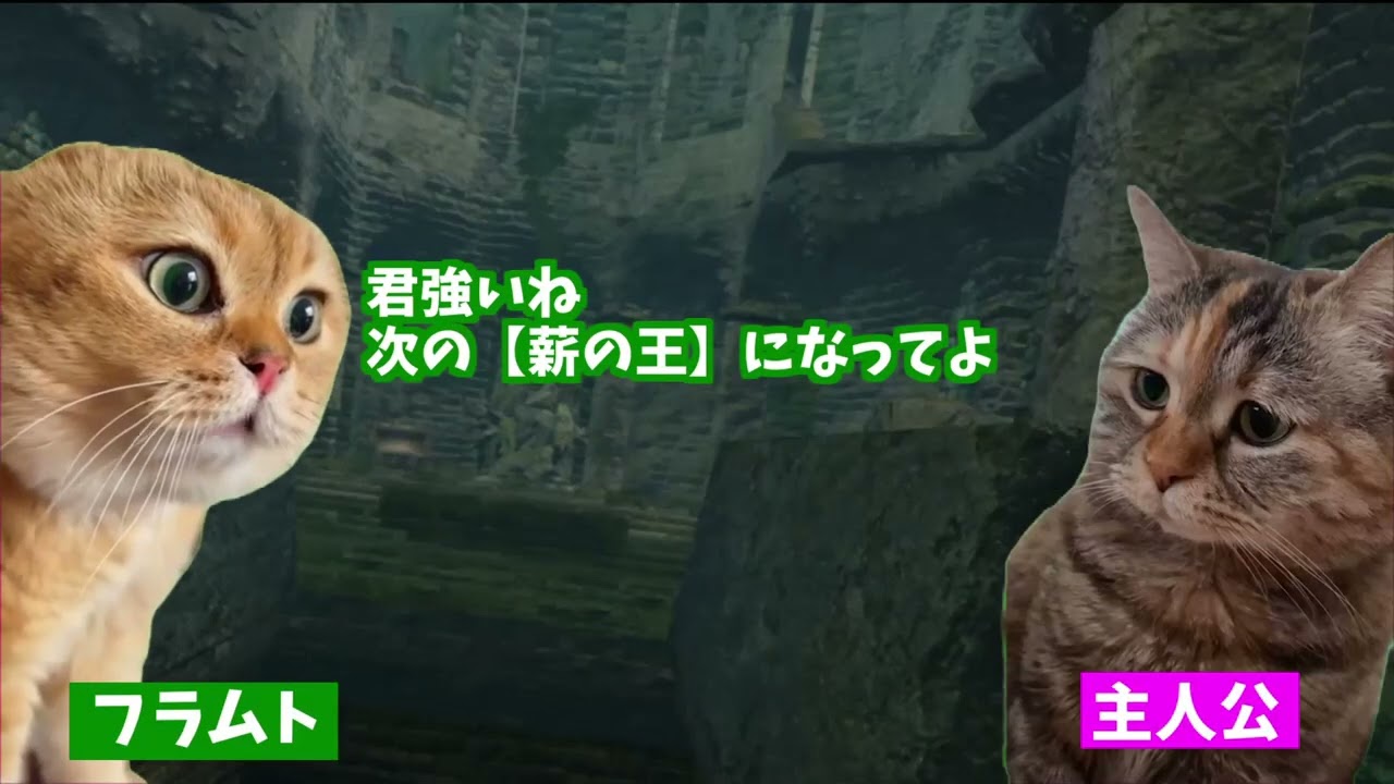 【DARK SOULS】猫ミームで分かるストーリー