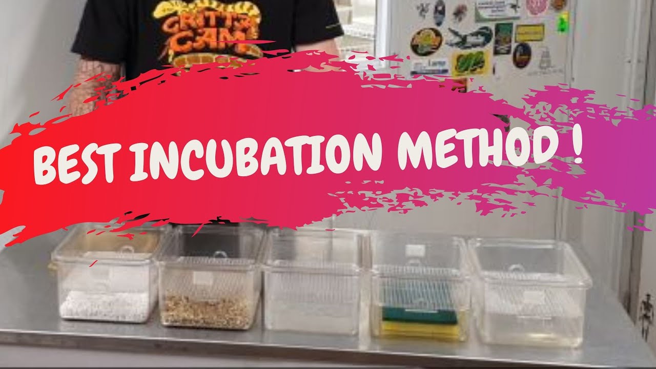 WHAT'S THE BEST INCUBATION METHOD - CrittaCam