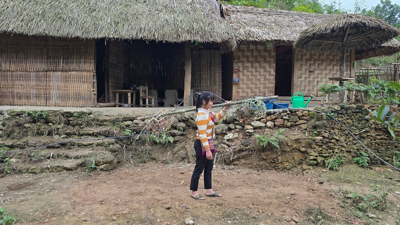Sell Your OLD Ducks to Make Room for NEW Ducklings Today | Tiểu Liễu-17 year old