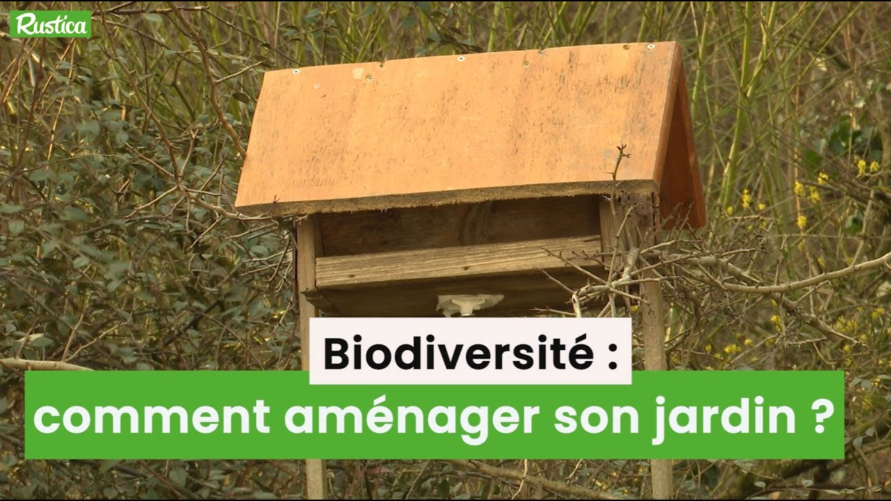 Comment aménager son jardin pour favoriser la biodiversité
