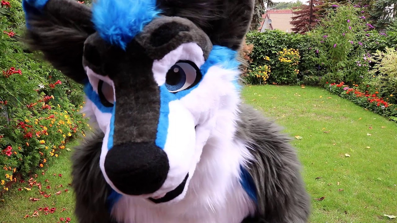 Aegis - fullsuit plantigrade wolf/hyena