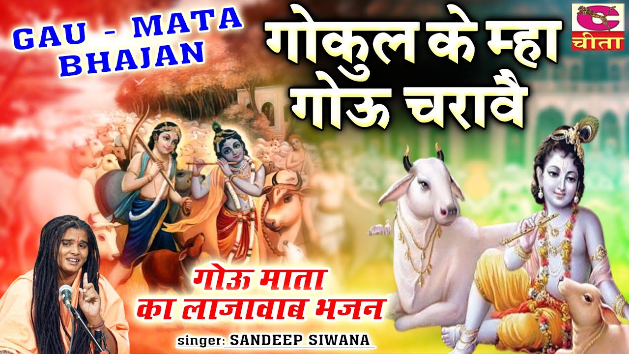 Gau Mata Bhajans _ गोऊ माता का लाजवाब भजन | गोकुल के म्हा गोऊ चरावै | Sadeep Siwana | गौ माता भजन