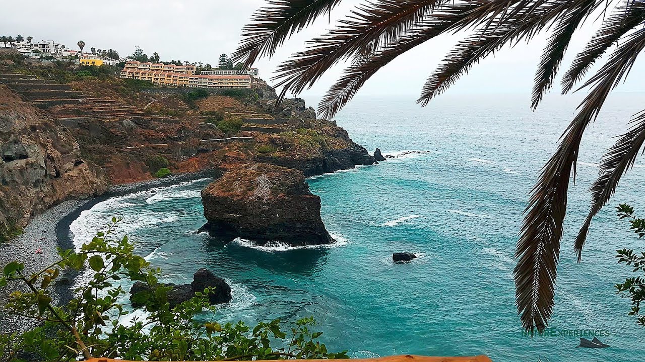 Rambla de Castro, Tenerife 4K - Hiking in the Canary Islands