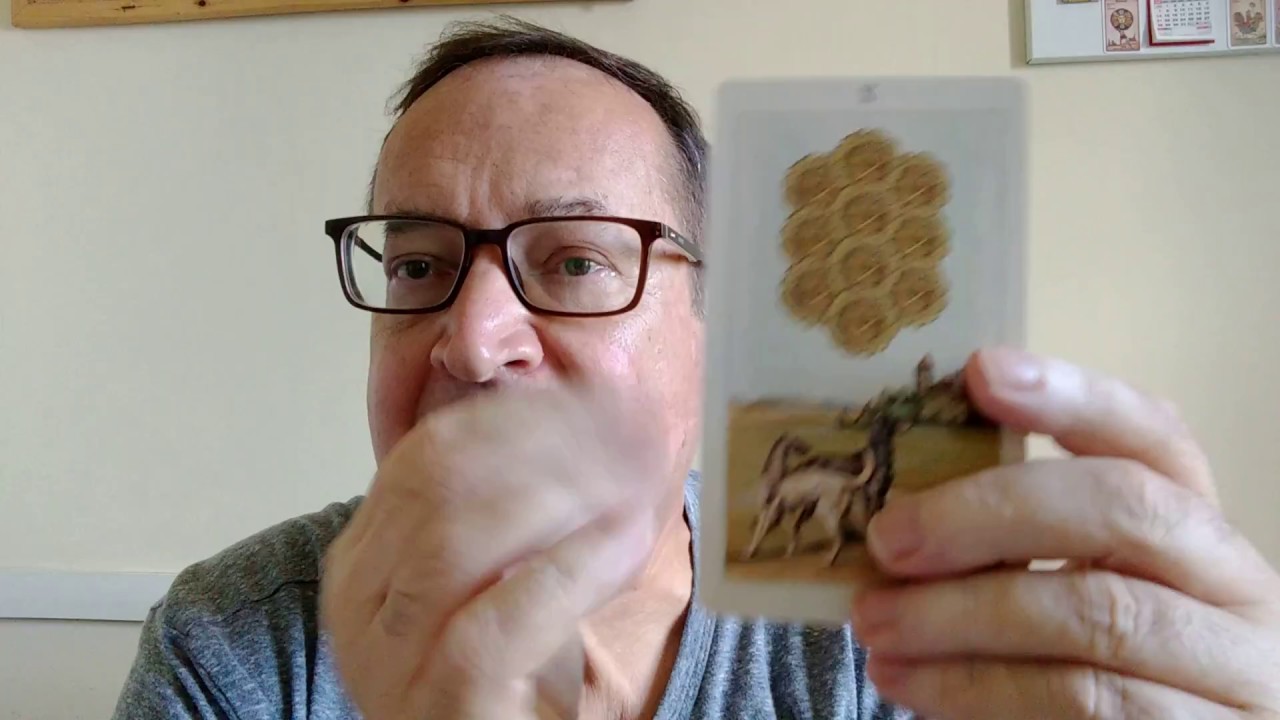 Carta do Dia do Tarot: 10 de Ouros