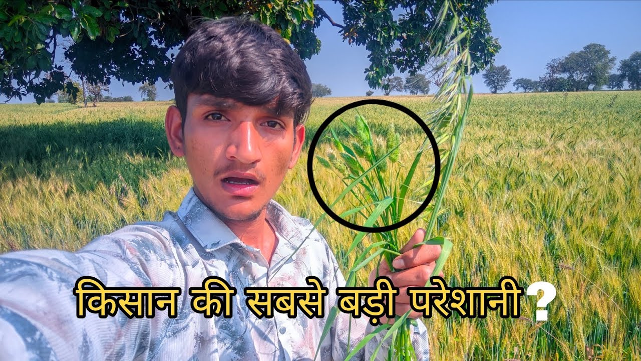 किसान की सबसे बड़ी परेशानी? 🤔#kisan #gaon #DailyVlog