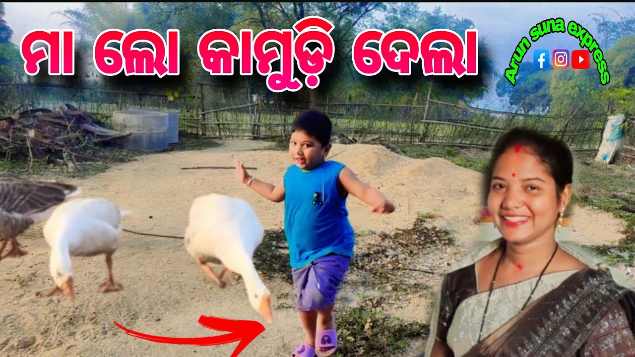 ମା ଲୋ କାମୁଡ଼ି ଦେଲା/Arun Suna Express