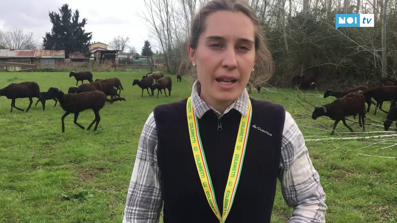 Sulle Apuane ad allevare pecore: la riconversione ecologica di Carolina