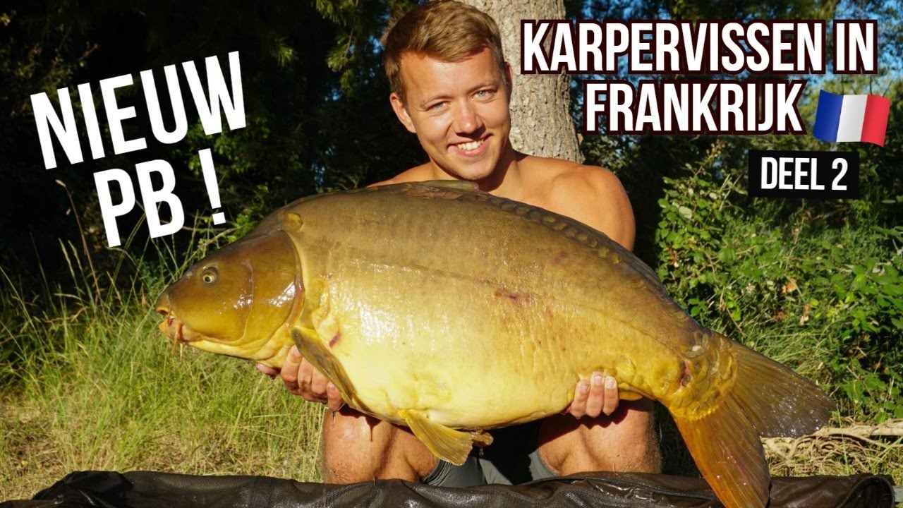 Karpervissen in Frankrijk 2020 - BESTE vistrip OOIT ! Deel 2 l DWFishingteam