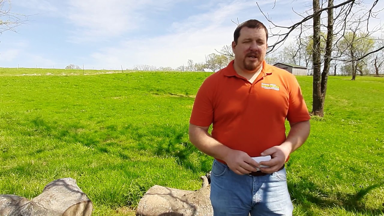 Spring Nitrogen Tips for Pastures and Hayfields