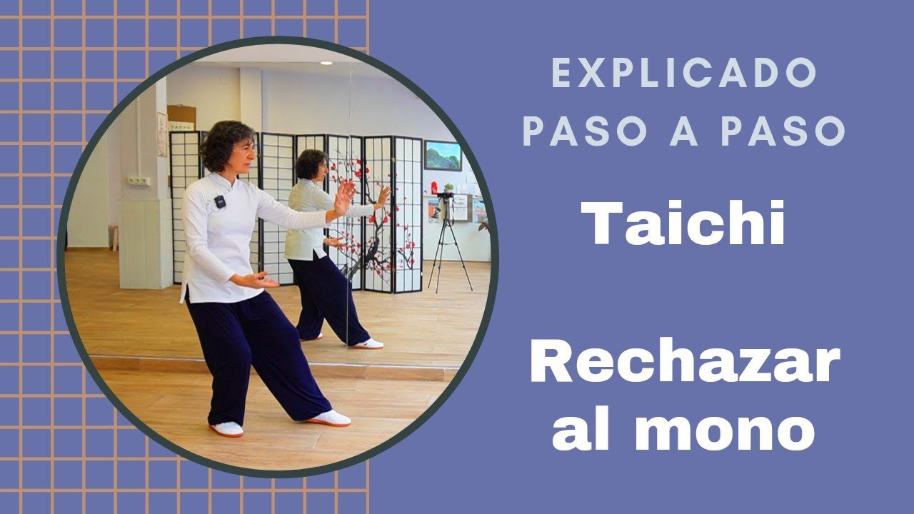 ‼️TAICHI explicado 🙉Retirada del mono