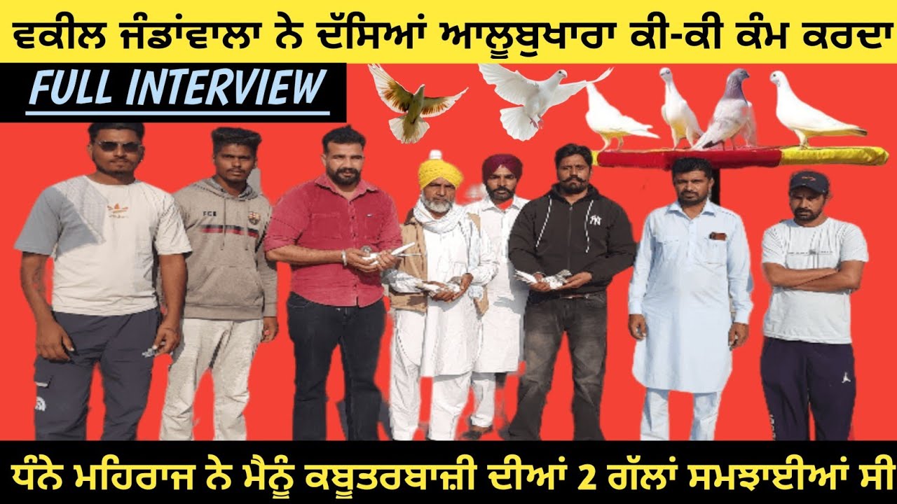 ਧੰਨੇ ਮਹਿਰਾਜ ਨੇ ਮੈਨੂੰ ਕਬੂਤਰਬਾਜ਼ੀ ਦੀਆਂ 2 ਗੱਲਾਂ ਸਮਝਾਈਆਂ ਸੀ 