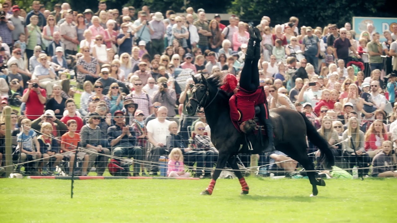 Stampede Stunt Company International 