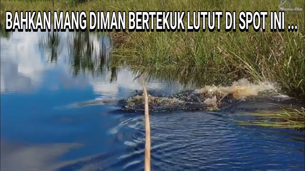 KALAU TAK MELIHAT SENDIRI , . SAYAPUN TAK PERCAYA ..😰😰 ..