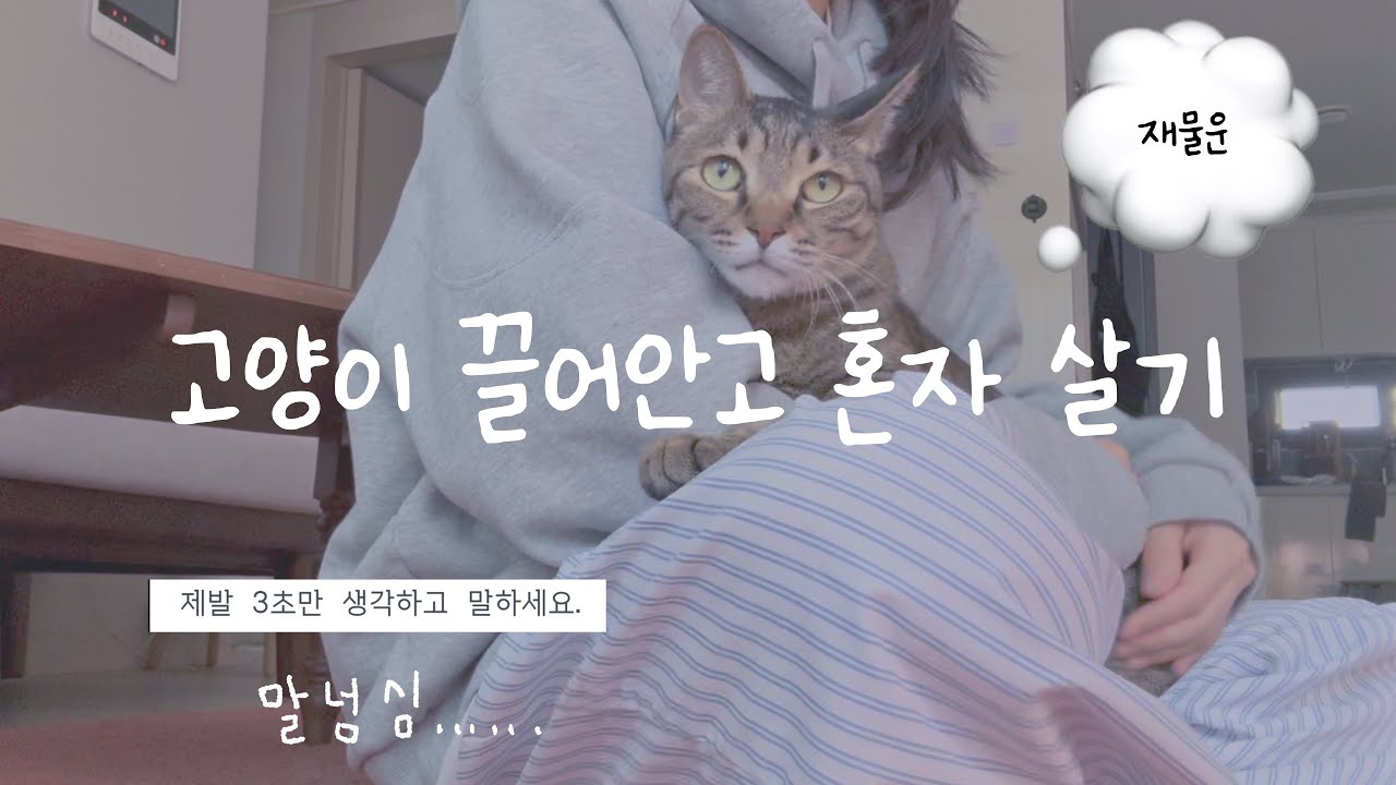 설 연휴 혼자 보내는 브이로그 | 신년맞이 사주 990원 | Insta360카메라 | 야옹