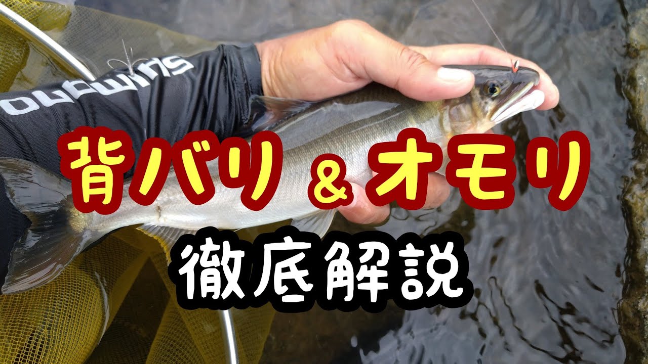 鮎釣り　背バリとオモリ【徹底解説】背バリ自作
