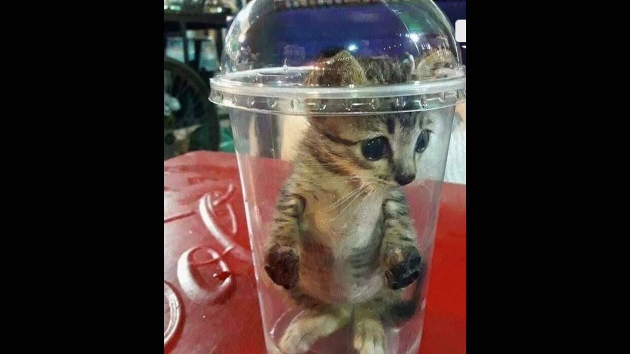 Average mecz 5.7 w War Thunder / 90 Sub special