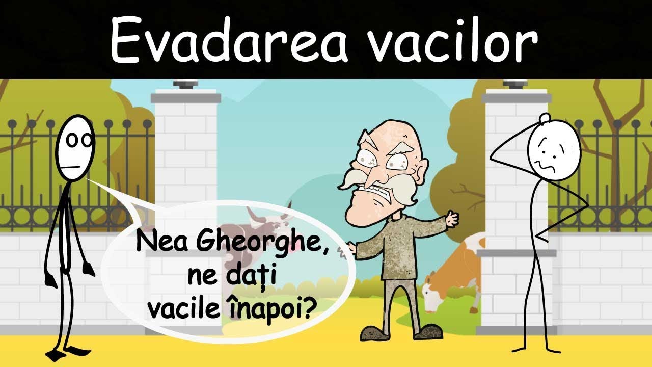 AVENTURI CU VACA: Evadarea vacilor