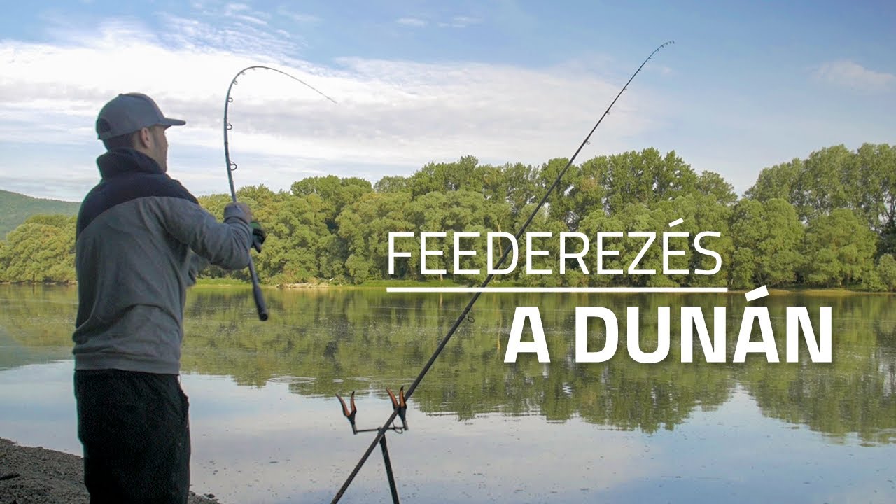 Tavaszi feederez&eacute;s a Dun&aacute;n | B&V Fishing