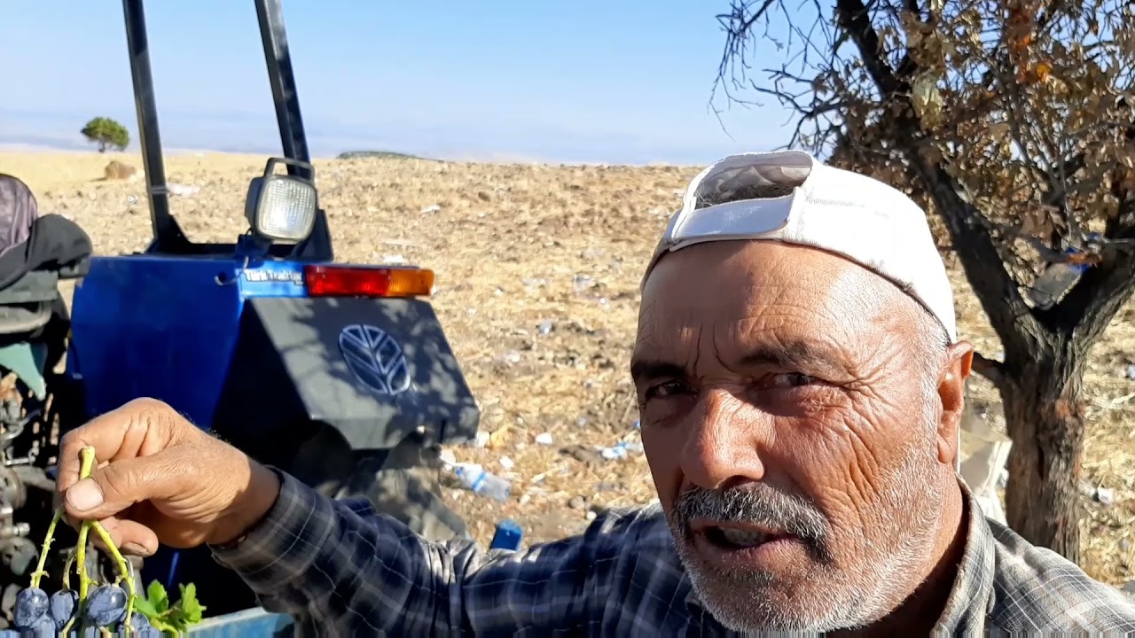 Gaziantep'in YÖRESEL Armut ve Üzüm çeşitleri