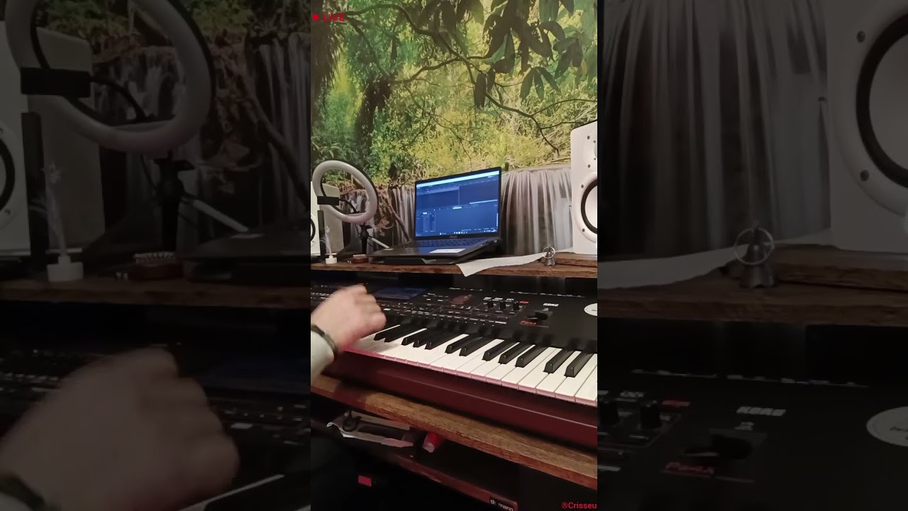 #V608 🪈🚦Geaba ai, lună, lumină ! #sarba