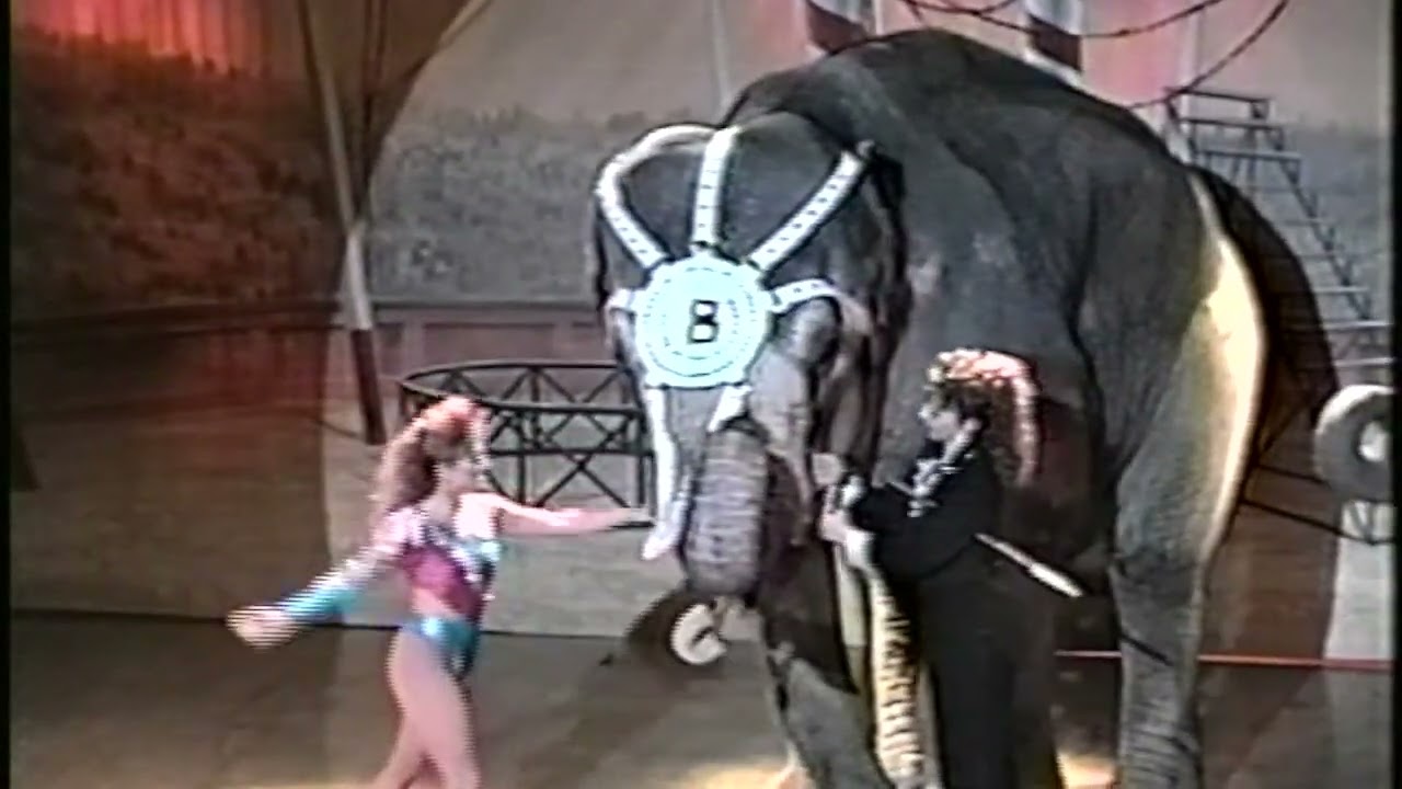 Bertha and Angel Showroom #2