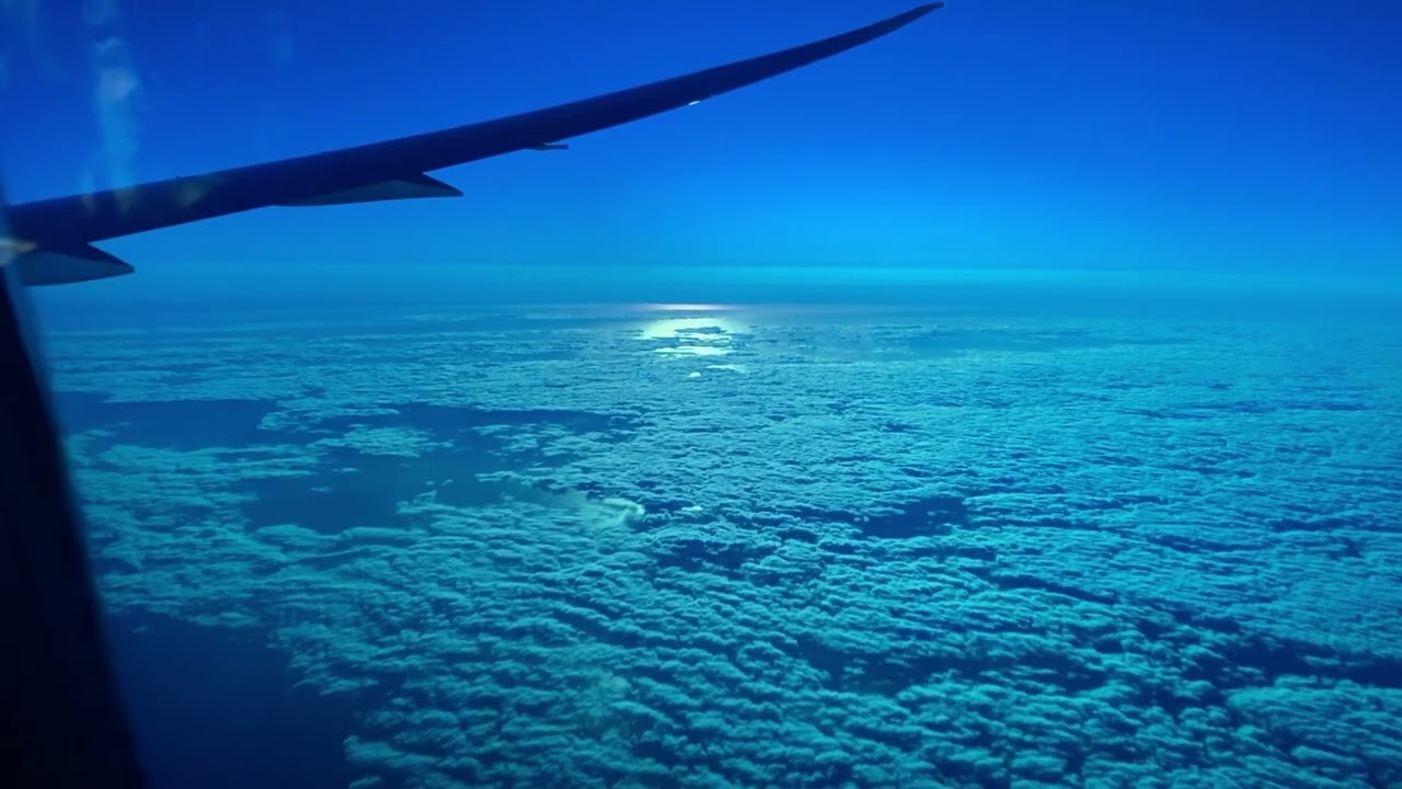 Flying to America, Australia to America, Flying United Airlines basic economy international