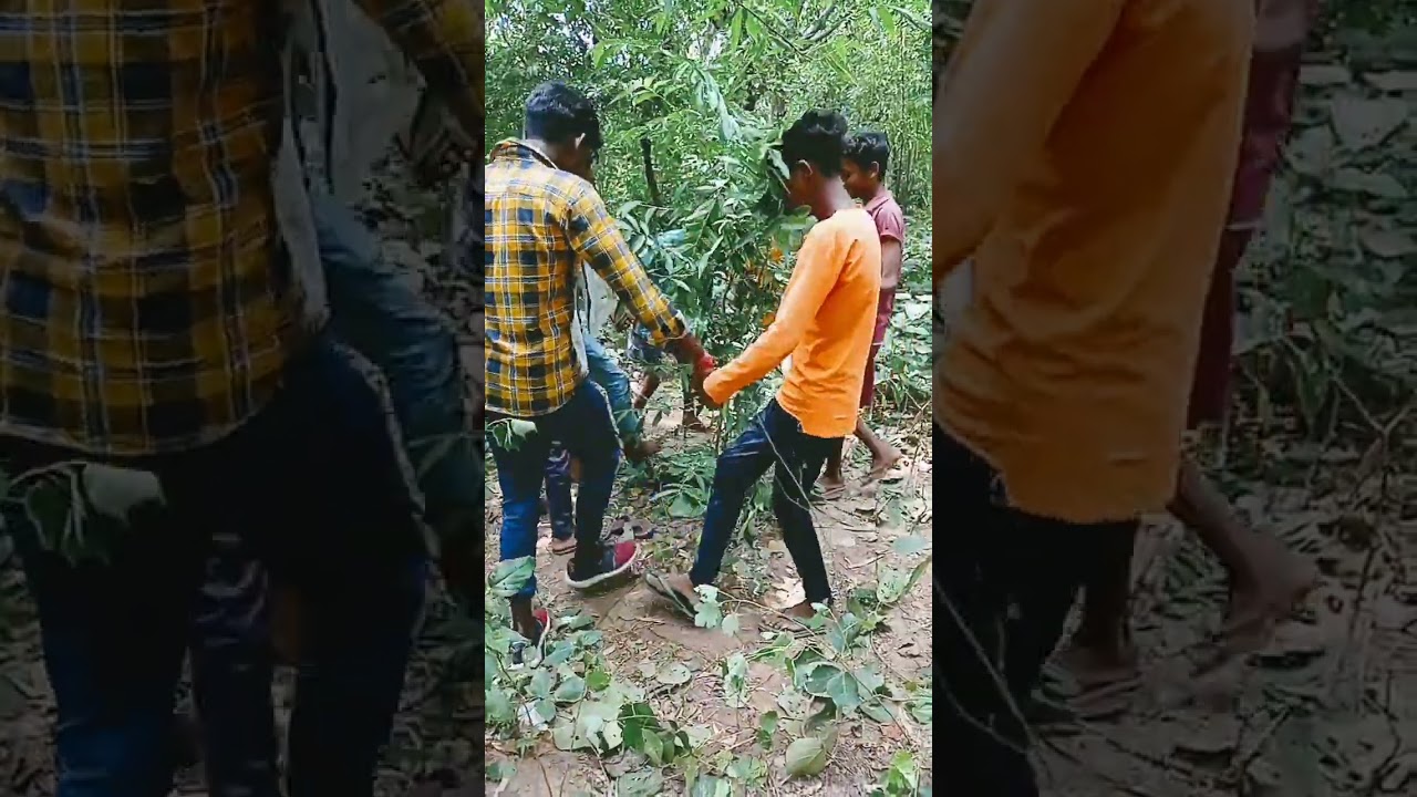 #comedy_video