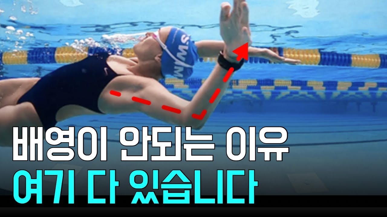 [배영 총정리] 이 영상 하나로 배영 끝🏊🏻‍♀️